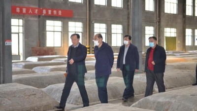 畢黎明到金彩山調研復工復產工作