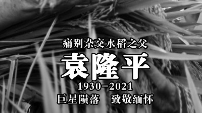 國士無雙，緬懷袁隆平