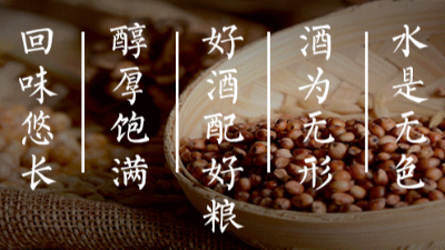 金彩山酒出山東