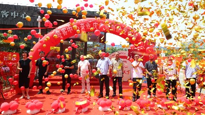 金彩山酒文化園游客中心開業慶典暨新品發布會盛大開幕