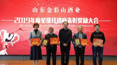 公司隆重召開2019年度星級經銷商表彰獎勵大會