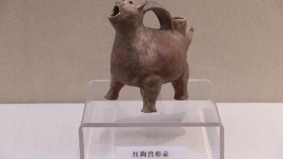 魯酒瑰寶——館藏文物展（二 ）